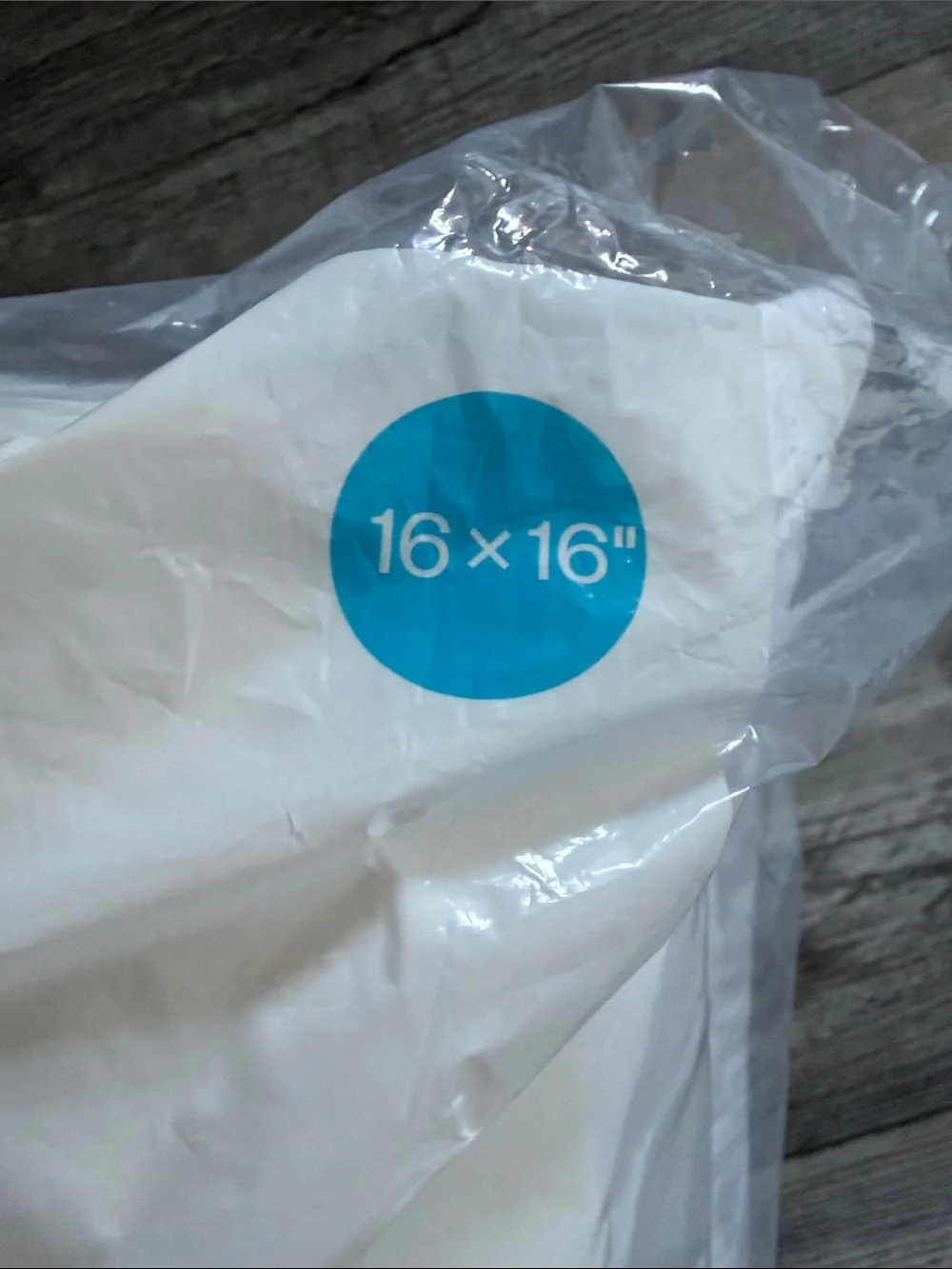 Room Essentials White Pillow Insert with Turquoise Packaging